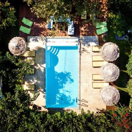 Turdus Merula Retreat Nea Makri Bagian luar foto