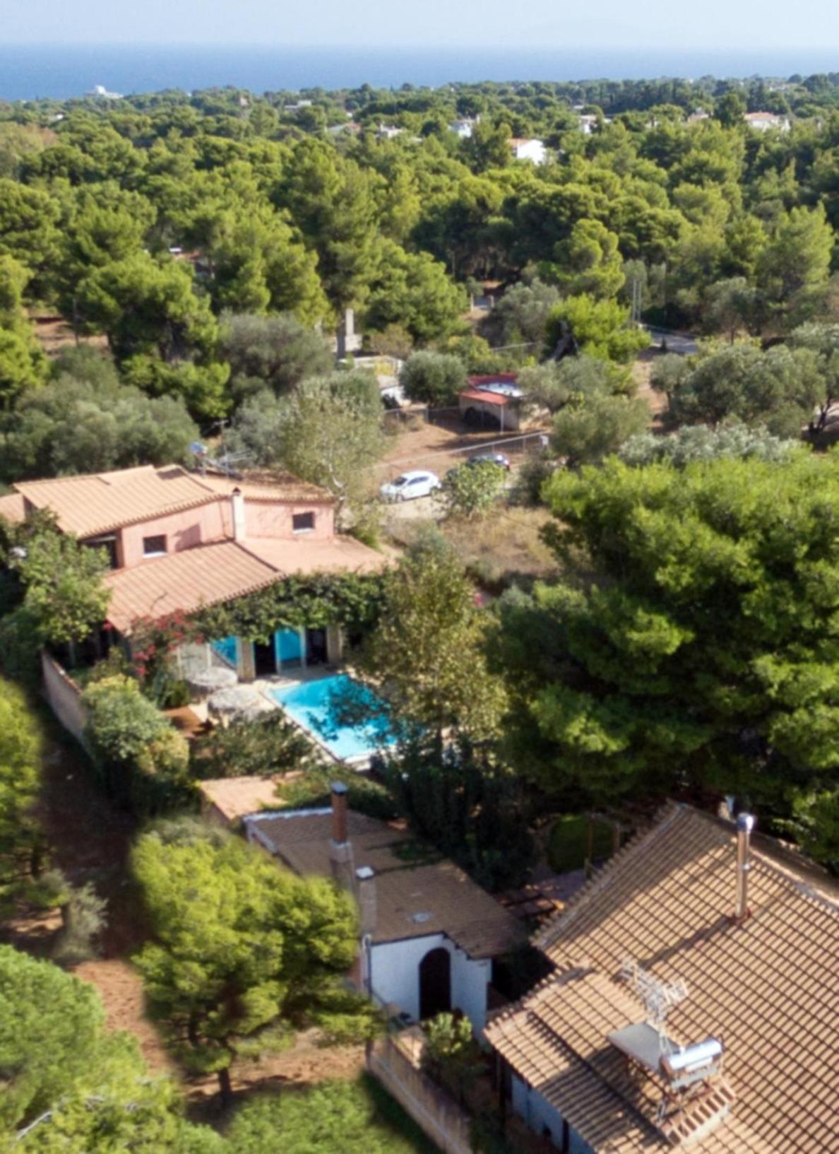 Turdus Merula Retreat Nea Makri Bagian luar foto